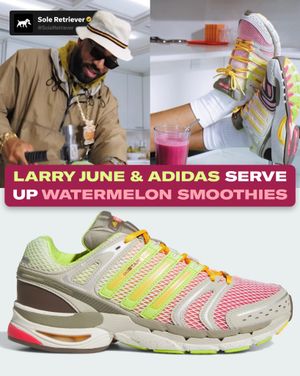 Image post by @soleretriever on Instagram
