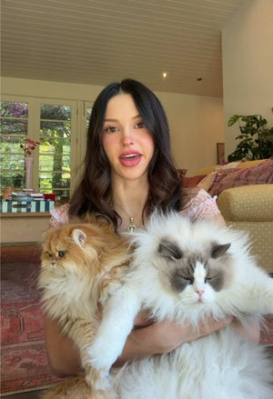 Video post by @lyssielooloo on TikTok