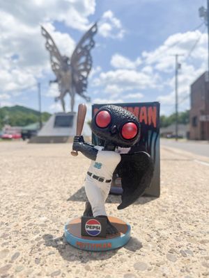 Image post by @dirtybirdscwv on Instagram