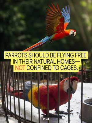 Image post by @peta on Instagram