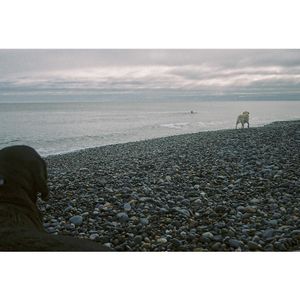 Image post by @kim_sola on Instagram