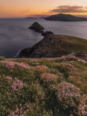 Image post by @discoverireland.ie on Instagram