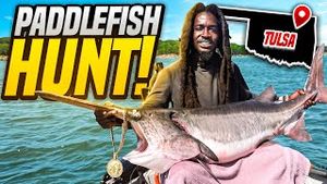 Video post by @hoodfishingentertainment on YouTube
