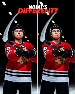 Image post by @hockeymonkey on Instagram