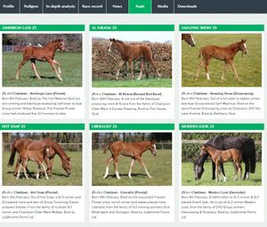 Image post by @juddmonte on Instagram