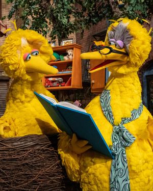 Image post by @sesamestreet on Instagram