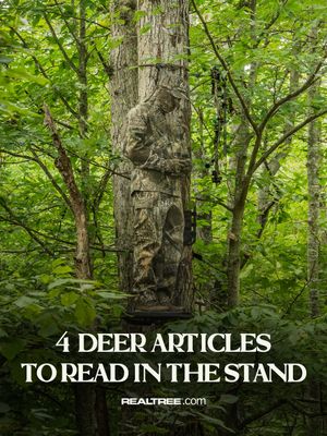 Image post by @realtreeoutdoors on Instagram