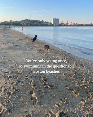 Video post by @bostonwithemily on TikTok