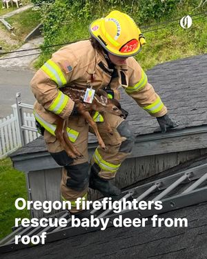 Image post by @theoregonian on Instagram