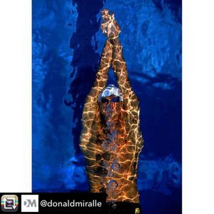 Image post by @uscswim on Instagram
