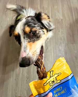 Image post by @honeyimhome on Instagram
