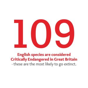 Image post by @rspb on Instagram