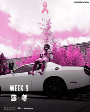 Image post by @officialblsfb on Instagram