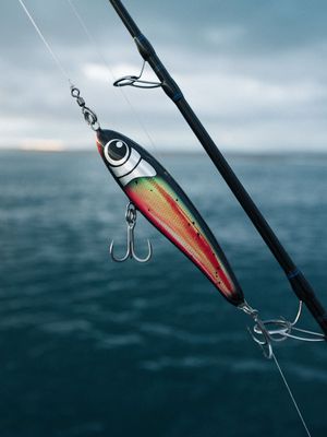 Image post by @black_ledge_lures on Instagram