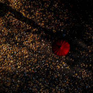 Image post by @loupe_art on Instagram