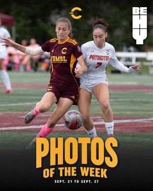 Image post by @the_stingers on Instagram