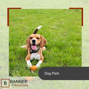 Image post by @banneratwestfield on Instagram