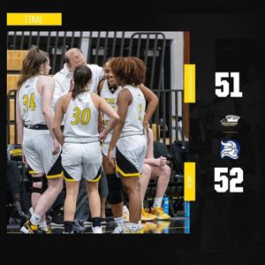 Image post by @gopetrelswbb on Instagram