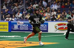 Image post by @rocknighthawks on Instagram