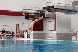 Image post by @ohiostswimdive on Instagram