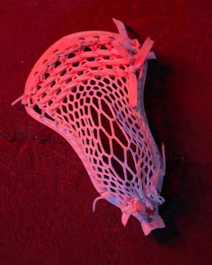 Image post by @warriorlax on Instagram