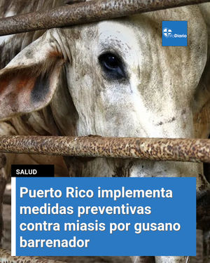 Image post by @infodiariord on Instagram