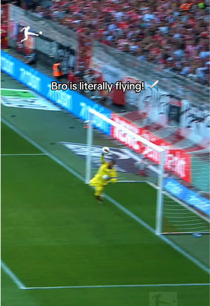 Video post by @bundesliga on TikTok