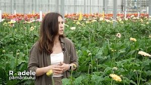 Video post by @trinitastvoficial on YouTube