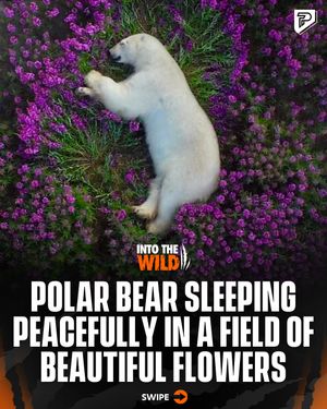 Image post by @pubity on Instagram