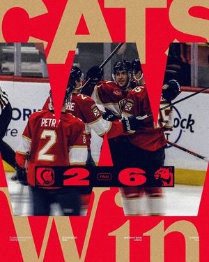 Image post by @flapanthers on Instagram