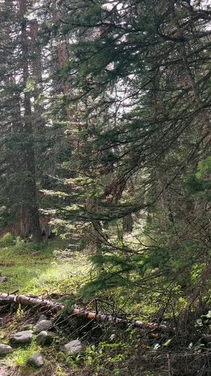 Video post by @filmbychloeg on TikTok
