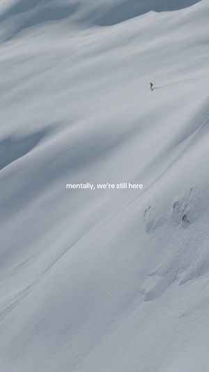 Video post by @thenorthface on TikTok