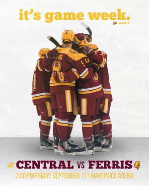 Image post by @cmuhockeyd3 on Instagram