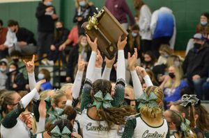 Image post by @laubhan.creative on Instagram