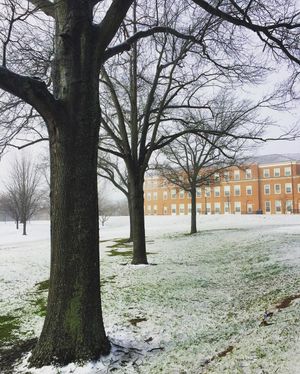 Image post by @wfuniversity on Instagram