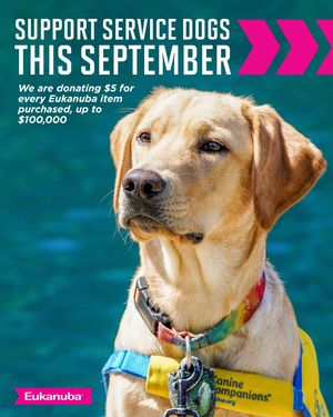 Image post by @canineorg on Instagram