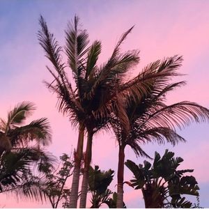 Image post by @jennifermqadir on Instagram