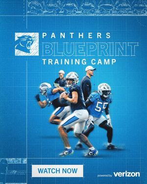 Image post by @panthers on Instagram