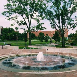 Image post by @universityofdaytonalumni on Instagram