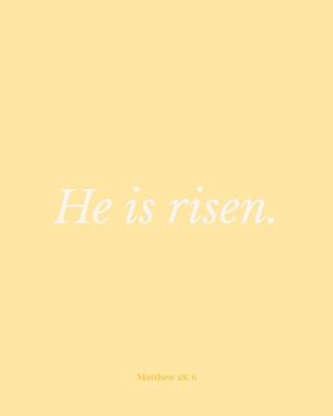 Image post by @sistermissionarymall on Instagram