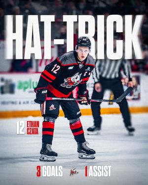 Image post by @ohlicedogs on Instagram