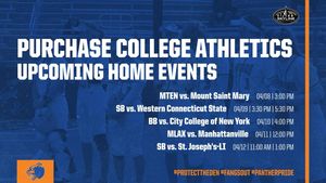 Image post by @purchasecollegeathletics on Instagram