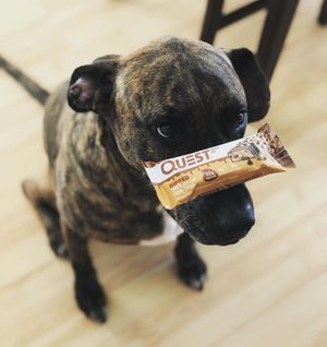 Image post by @questnutrition on Instagram
