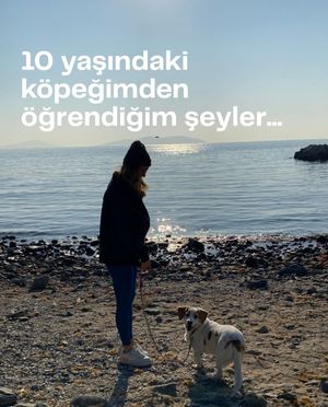 Image post by @destinasaccilarli on Instagram