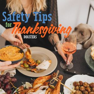 Image post by @dogstersicecream on Instagram