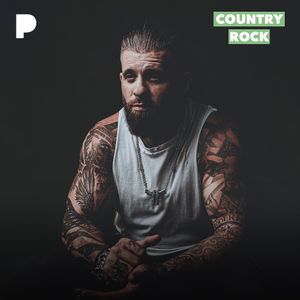 Image post by @brantleygilbert on Twitter