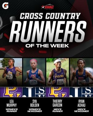 Image post by @theswac on Instagram