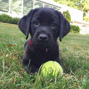 Image post by @usta on Instagram