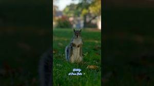 Video post by @Penn State University on YouTube