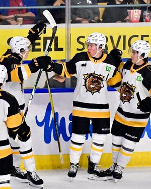 Image post by @bulldogsohl on Instagram